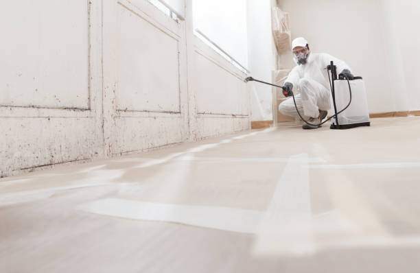 24/7 Emergency Mold Remediation experts in Mill Hall, PA